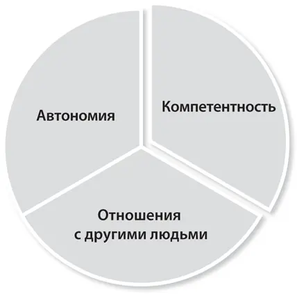 Рисунок 32 Элементы теории самодетерминации Теория самодетерминации выделяет - фото 8