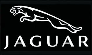 Возьмем например Jaguar автомобильный бренд в 2011 году продавший на - фото 184