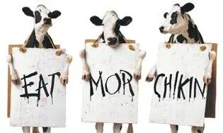 И вот уже на протяжении шестнадцати лет ChickFilA использует образы коров - фото 197
