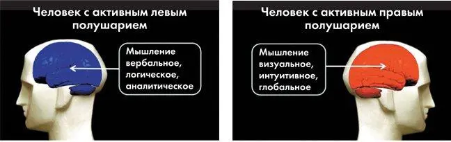 Как только аналитическое левое полушарие концентрируется на той или иной - фото 235