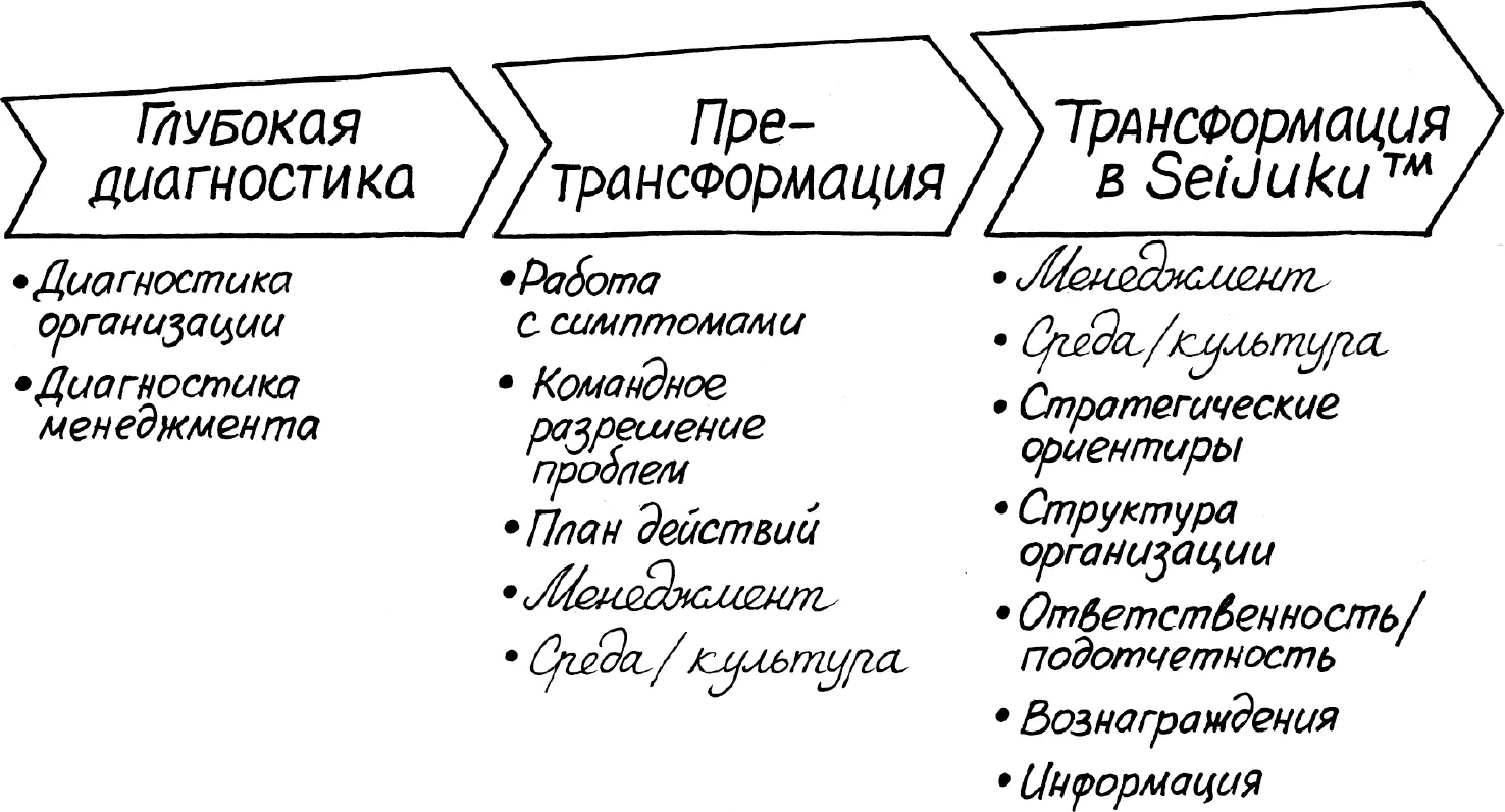 Следующий этап построение новой стратегии организации формирование новой - фото 2