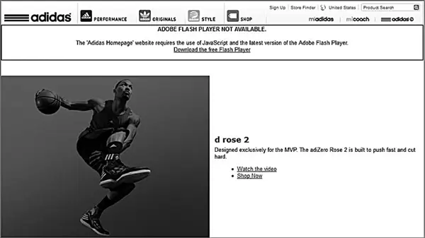 Рис 510Так выглядит домашняя страница Adidas на компьютере без Adobe Flash - фото 88