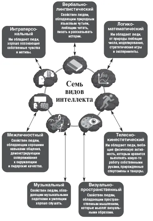 Семь видов интеллекта по Говарду Гарднеру Вербальнолингвистический Среди - фото 2