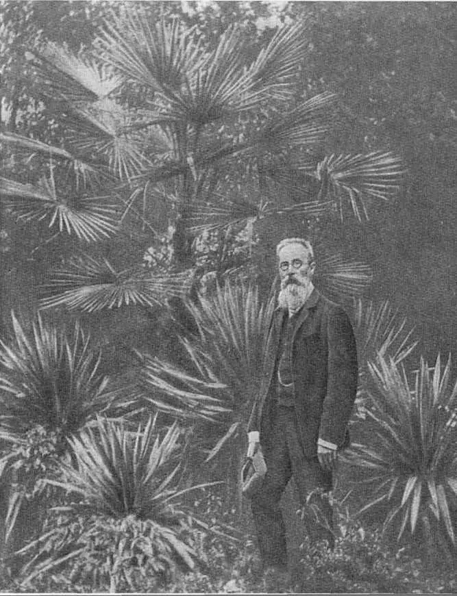 Николай Андреевич РимскийКорсаков в Риве Австрия 1906 год Н А - фото 32