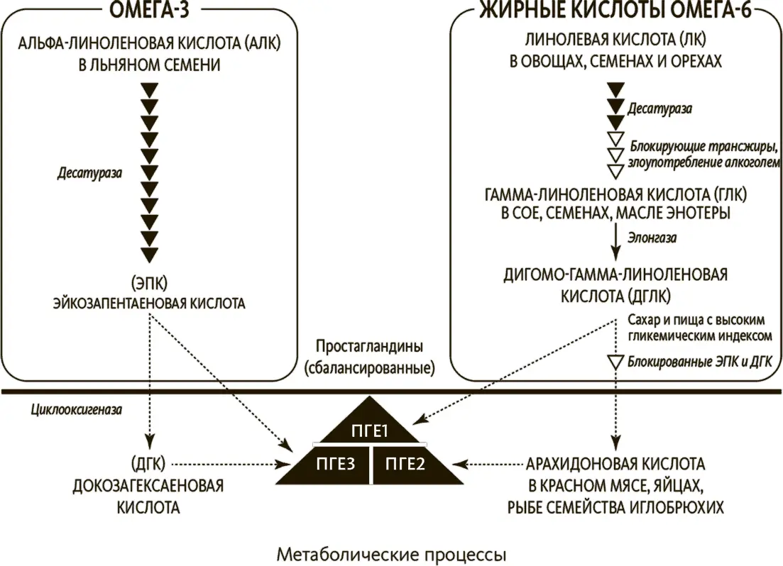 Рыба и льняное семя богаты противовоспалительными жирными кислотами омега3 а - фото 16