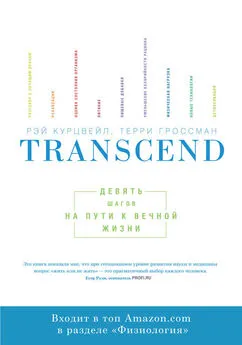 Рэй Курцвейл - Transcend: девять шагов на пути к вечной жизни