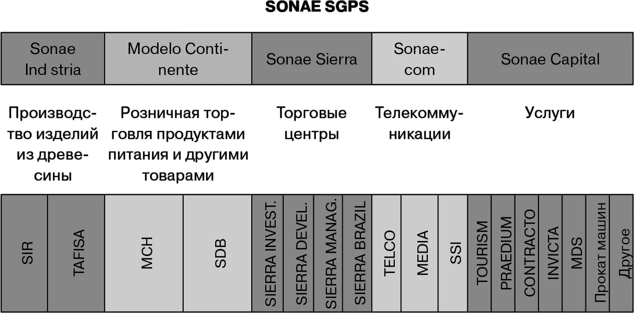 В чем особенность логотипа Sonae На нем представлены два ростка - фото 2