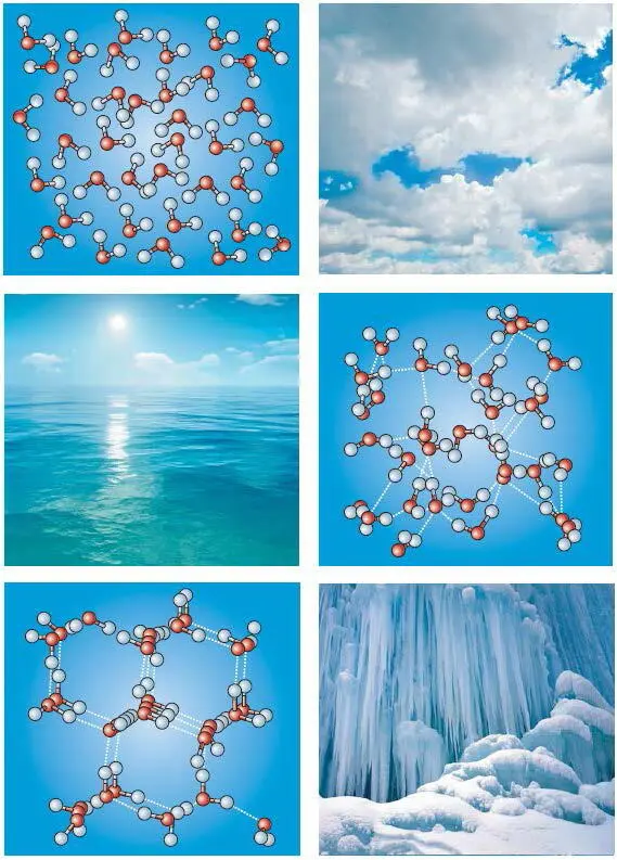 Рис 1 Агрегатные состояния воды газообразное жидкое твёрдое и связи - фото 4