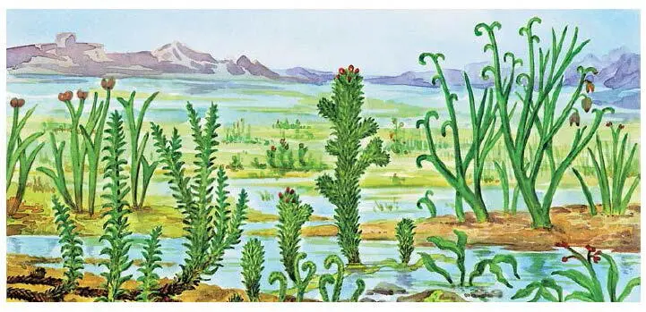 Рис 164 Первые растения суши Рис 165 Латимерия современная кистепёрая - фото 184