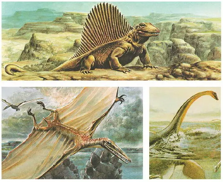 Рис 167 Животный мир мезозойской эры Целый ряд ароморфозов цветок двойное - фото 187