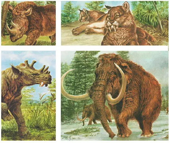 Рис 168 Животный мир кайнозойской эры В течение антропогенового периода - фото 188