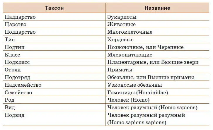 Рис 169 Строение черепа и позвоночника человека А в сравнении со скелетом и - фото 191