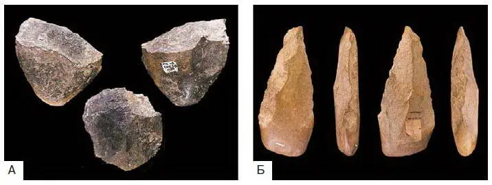 Рис 173 Олдувайские чопперы Homo habilis А и ашельские рубила Homo - фото 196