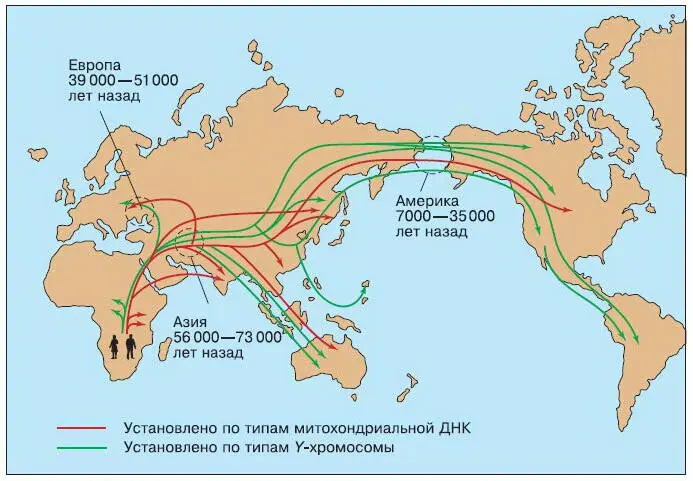 Рис 174 Пути и время расселения людей по планете на основе генетических - фото 197