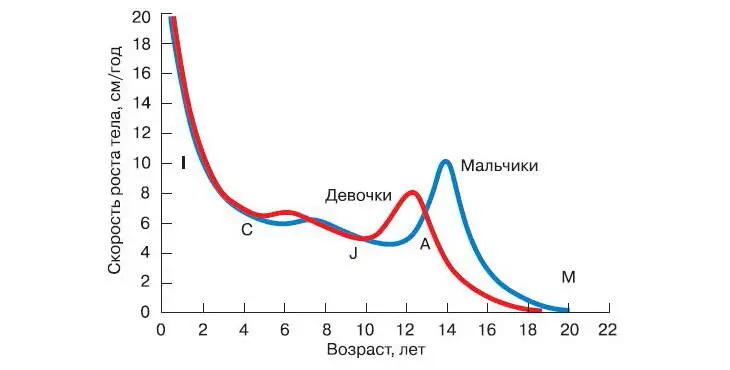 Рис 177 Идеальные кривые скорости роста длины тела здоровых мальчиков и - фото 201