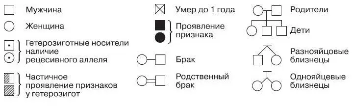 Рис 197 Символы используемые для составления родословных Оценивая - фото 221