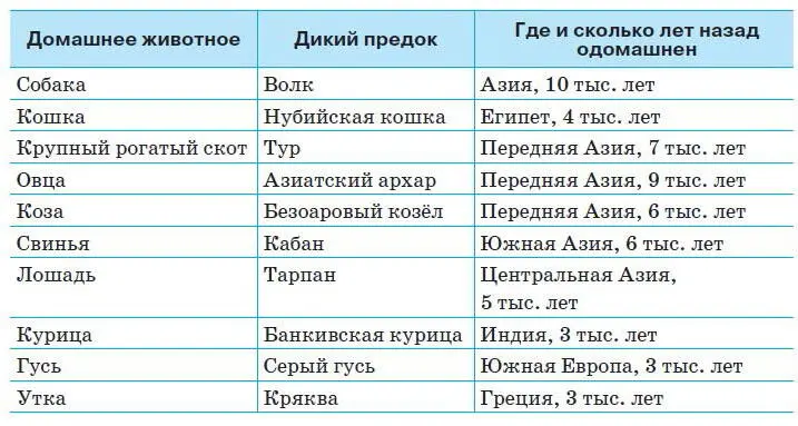 Параллельно происходило окультуривание растений Каждое из ныне используемых - фото 233
