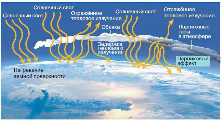 Рис 263 Парниковый эффект С увеличением парникового эффекта связывают - фото 292