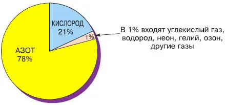Рис 38 Воздух смесь различных газов Основные газы воздуха азот и - фото 74