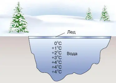 Рис 54 Распределение температуры воды в замерзшем водоеме Вода не уменьшает - фото 99