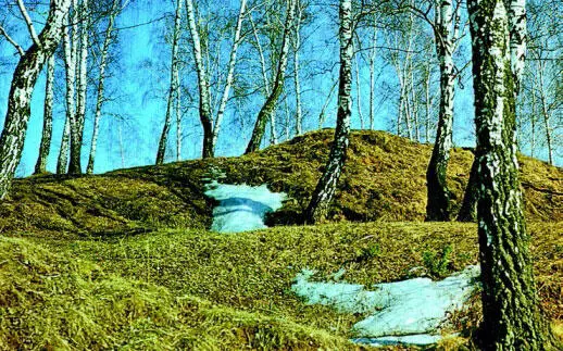 Рис 77 Деревья лучшие защитники почвы Немного истории От водной и - фото 140