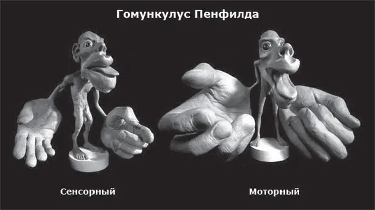 Ощупывание вщупывание Является самым первым моментом о котором стоит - фото 34