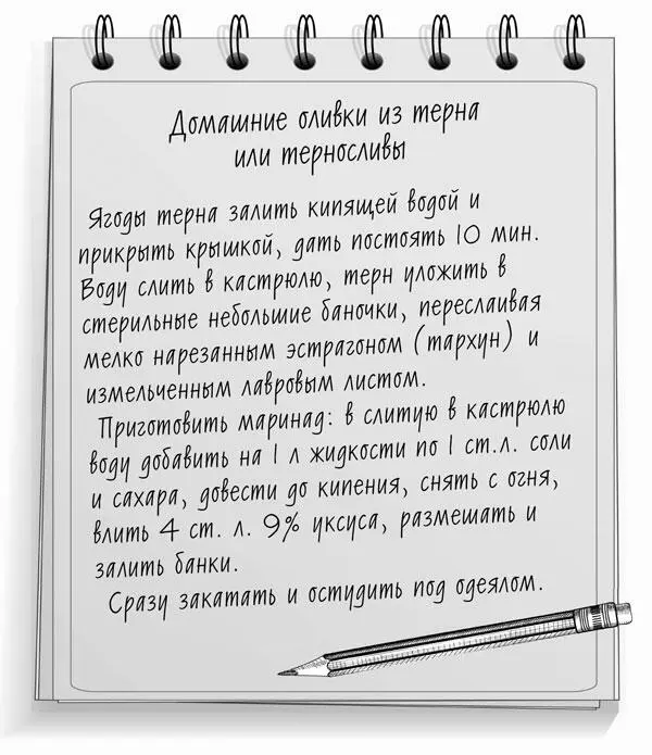 Соусы и приправы Аджика 5 кг томатов 1 кг моркови 1 кг яблок 1 кг - фото 26