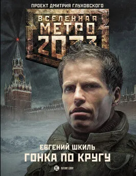 Евгений Шкиль - Метро 2033: Гонка по кругу