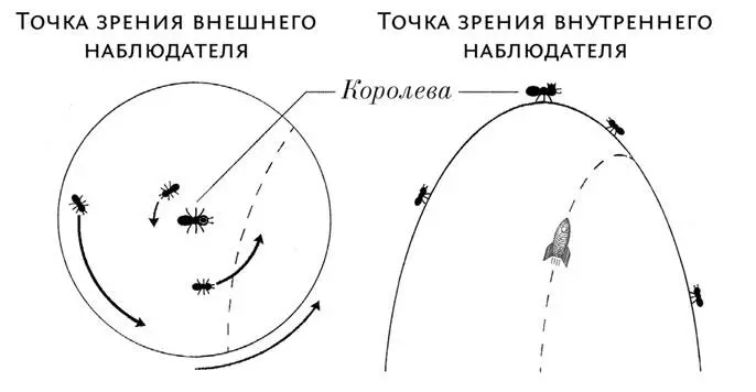 Чем дальше муравьи от королевы Марии тем быстрее они двигаются и тем сильнее - фото 41