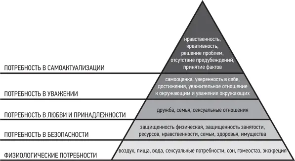 Иерархия потребностей Абрахама Маслоу Разные типы потребностей Маслоу выделил - фото 20