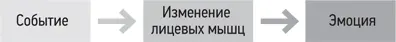 Изменения лицевых мышц формируют эмоцию Исследование Карни Ландиса В 1924 - фото 31