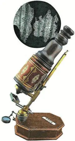 Рис 3 Микроскоп Роберта Гука и сделанный им рисунок микроскопической - фото 6