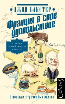 Джон Бакстер - Франция в свое удовольствие. В поисках утраченных вкусов