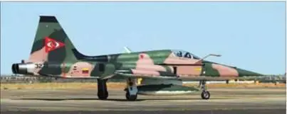 Norhrop F5 F16 В США в 19601970 гг закупили сверхзвуковые - фото 116