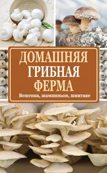 Нина Богданова - Домашняя грибная ферма. Вешенка, шампиньон, шиитаке