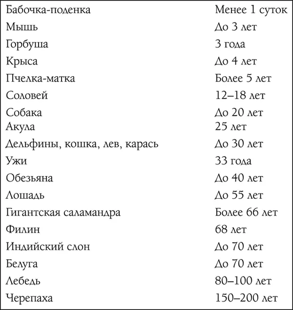 Несомненно в каждом конкретном случае продолжительность жизни определяют и - фото 49