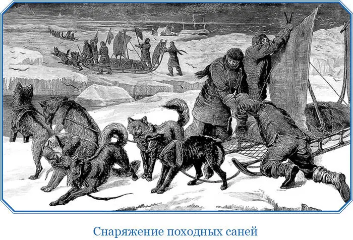 Он сообщает нам и другое не менее примечательное явление природы На тундре - фото 37