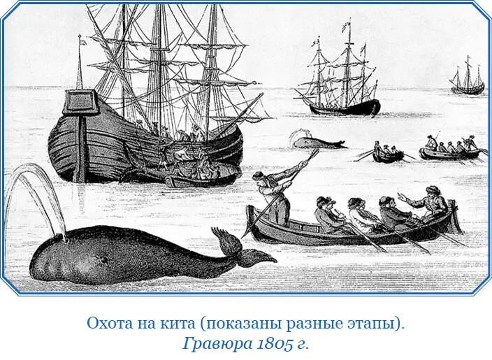 Наступало для НижнеКолымска самое блестящее время приезд купцов из Якутска - фото 52