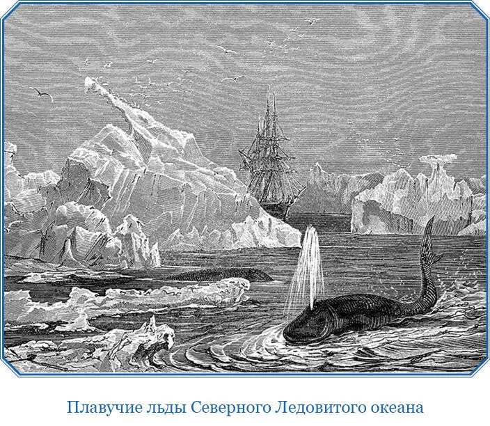 На следующее утро 7го августа резкий восточный ветер нагнал тучи Вскоре - фото 86