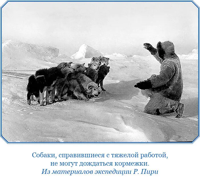 При свете солнца поднявшегося над утесами после непродолжительного полуночного - фото 54