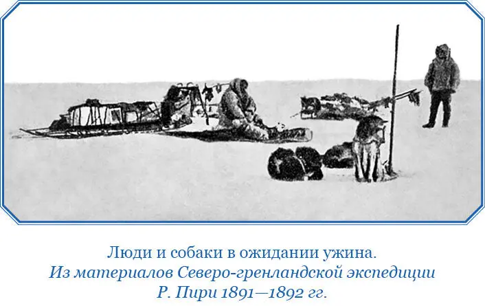 Хотя мне удалось увидеть с высоты внутреннего льда четыре величайших ледника в - фото 59