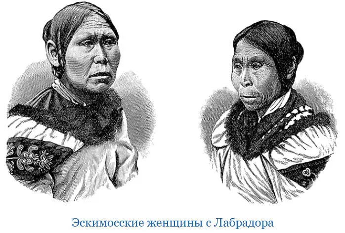 Зимуя на борту Рузвельта мы во многом отошли от того жесткого распорядка - фото 117
