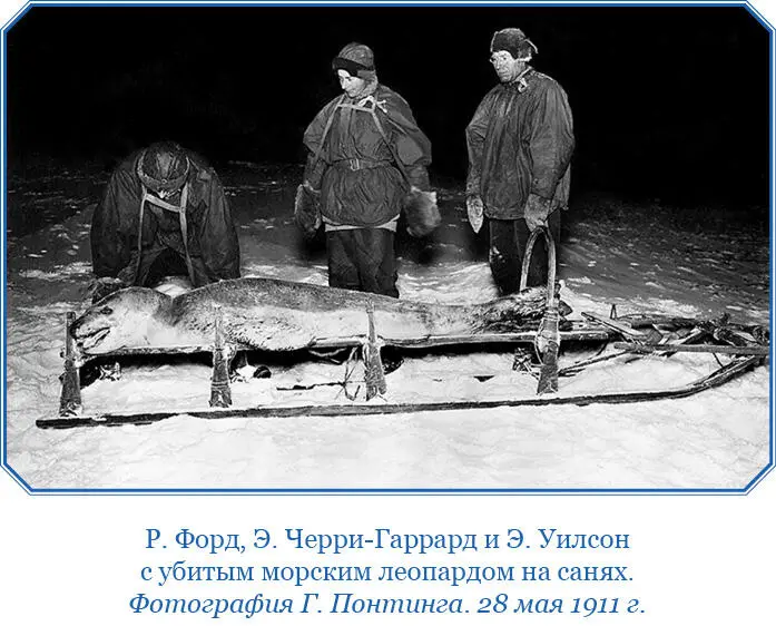 Вторник 30 мая Занят своими физиологическими исследованиями Аткинсон видел - фото 74