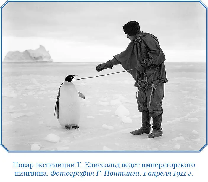 Первым пошел Э Эванс с ним пошли Крин Кэохэйн и Дмитрий с легкими санями - фото 81
