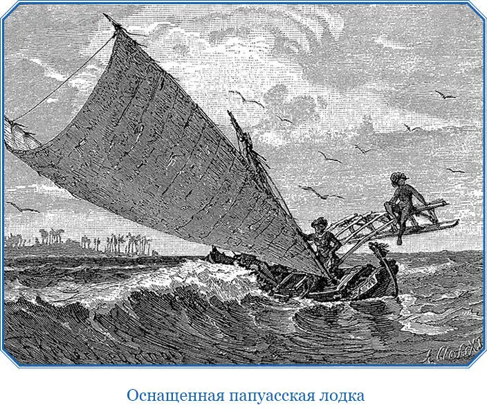 Кокосовые орехи это плоды пальмового дерева Подобно тому как мы - фото 35