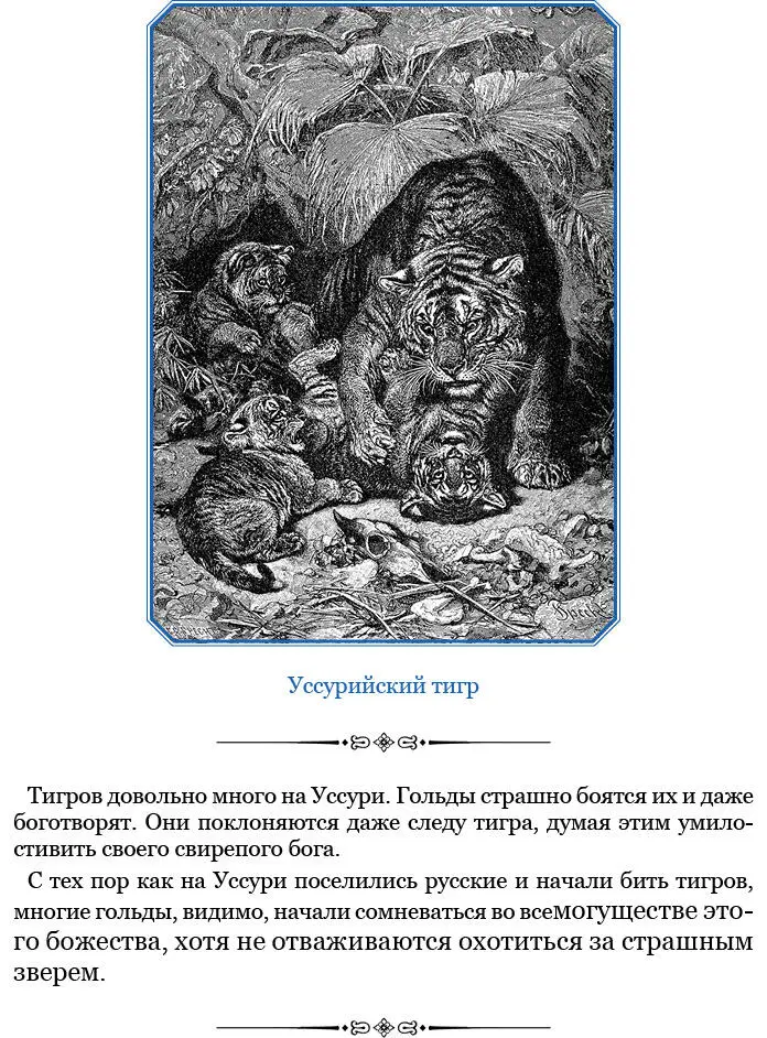 В начале зимы то есть в течение ноября и декабря когда снег еще мал охота - фото 41