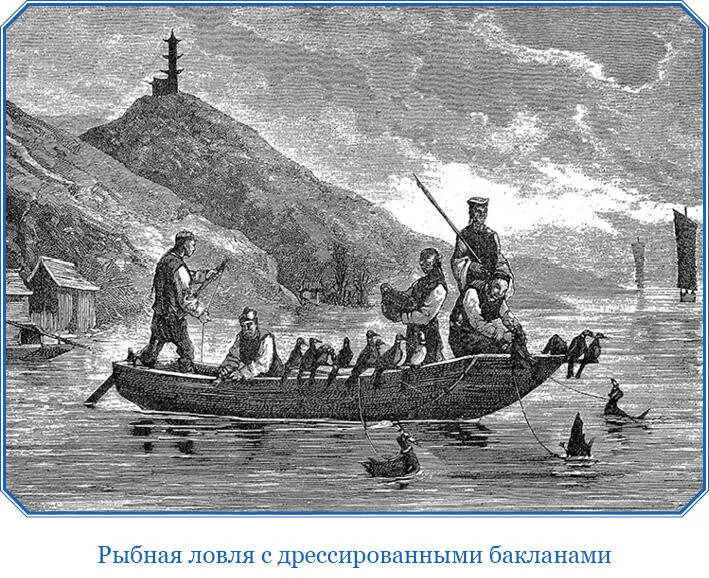 Уже конец февраля было несколько хороших теплых дней по выжженным с осени - фото 48