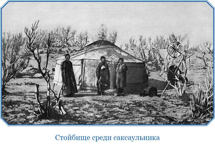 Добытый на Булугуне старый кабан наскочил на меня очень близко притом почти на - фото 81