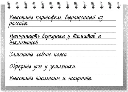 Выкопать картофель выращенный из рассады Прищипнуть верхушки у томатов и - фото 7