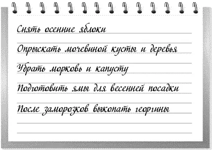 Снять осенние яблоки Опрыскать мочевиной кусты и деревья Убрать морковь и - фото 10